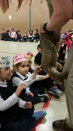 Animal Show