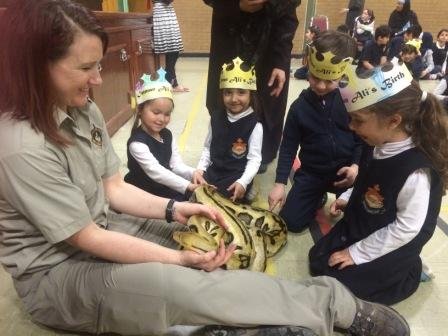 Animal Show