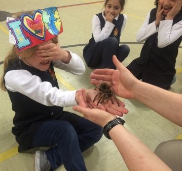 Animal Show on Fun Days